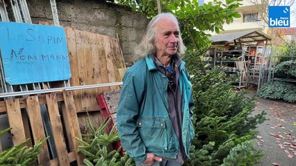 4/5 : vos sapins de Noël d'Alsace