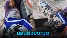 น้องหมาขี้อ้อน อยากนอนกับคุณยาย ใกล้ชิดไม่ห่าง แทบจะสิงร่างแล้ว