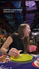 Rocky Raccoon loves tacos (video)