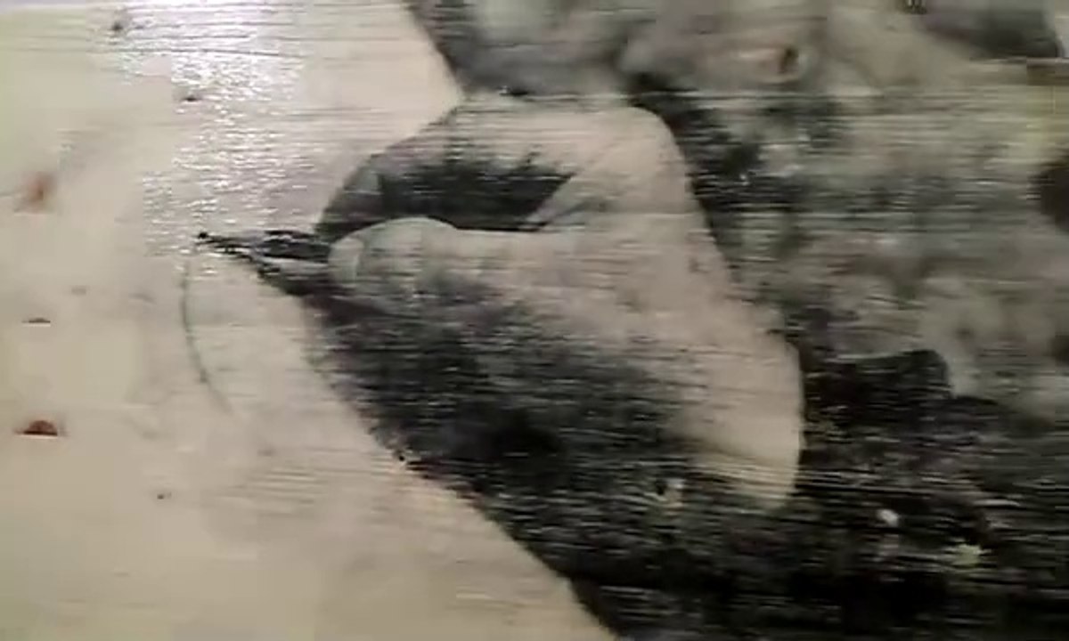 Dry (thermal) photographic transfer on wood, combined with carved elements - by Boris Kovachev