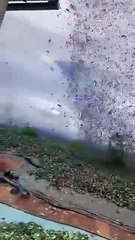 Un remolino se llevó hojas de coca que secaban al sol y sorprende a cocaleros en Perú