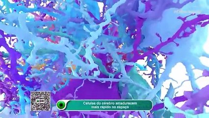 Células do cérebro amadurecem mais rápido no espaço