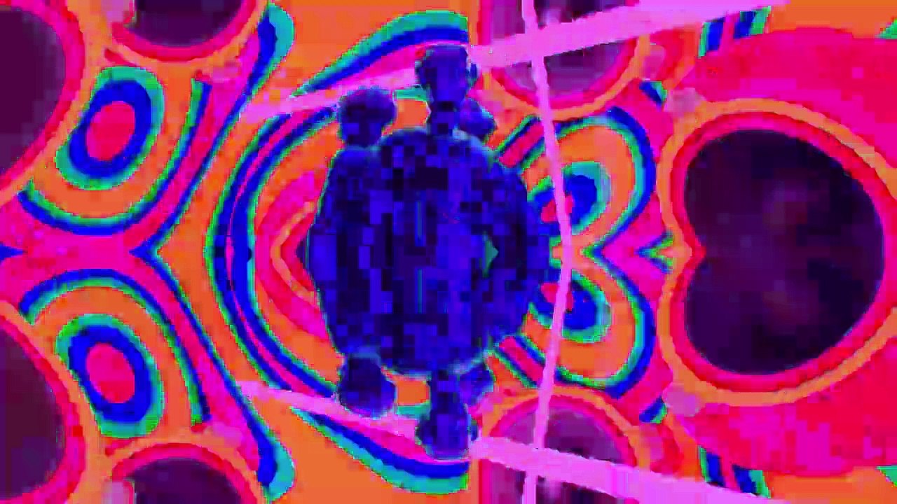 Wizardo - House and More