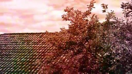 Dança das Folhas | movie | 2020 | Official Trailer