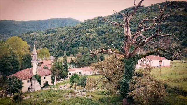 Kara Neme 2 | movie | 2024 | Official Trailer