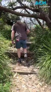 Uncovering the Mystery Circles of Crookhaven