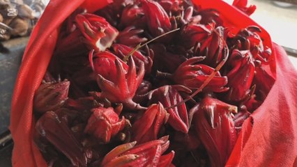 Saril: la bebida tradicional que no falta en las fiestas panameñas