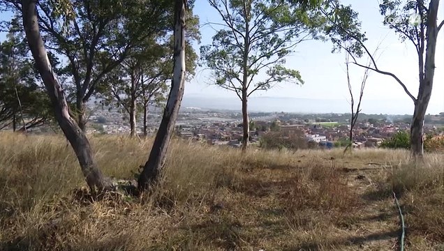 Piden que el cerro de la Reina se integre a la Red de Bosques Urbanos