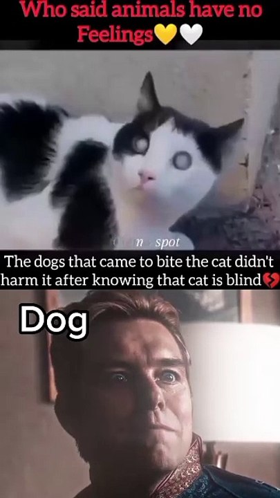 ❤️‍❤️‍❤️‍