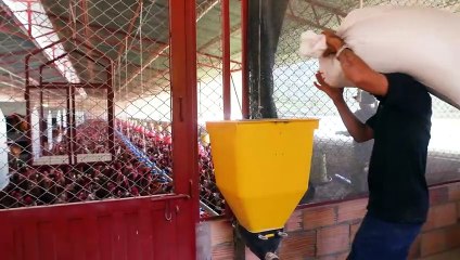 California Bird Flu : Cal OES works with State Partners to educate workers on Bird Flu