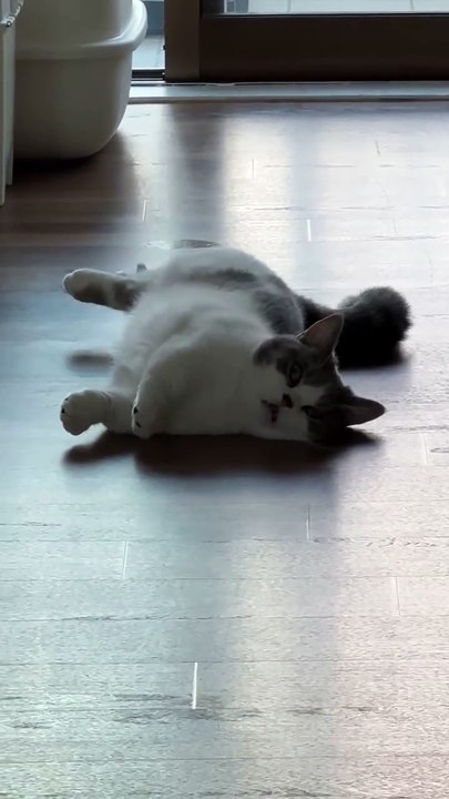 So sleepy