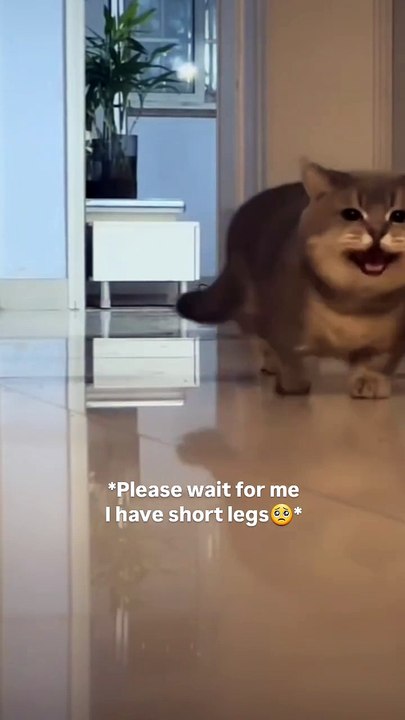Wait for me