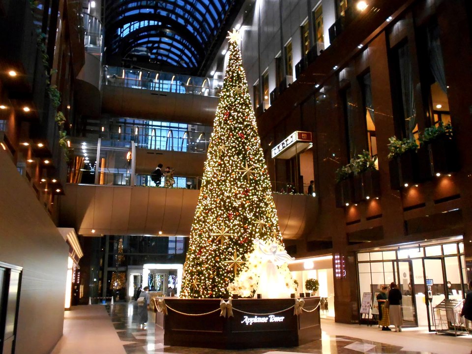 Oh Christmas Tree