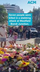 'Holding space' for 2024: the biggest stories of the year