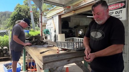 NSW oyster farmers optimistic ahead of Christmas season