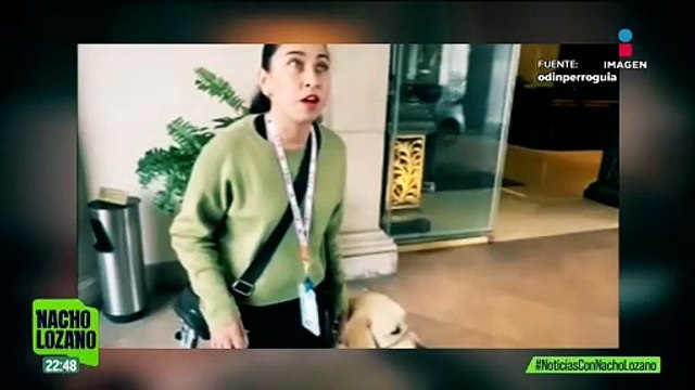 Hotel discrimina a joven con discapacidad por estar acompañada de su perro de asistencia