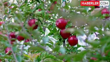 Türkiye'nin dev içecek markası Aroma neyi var neyi yok satıyor