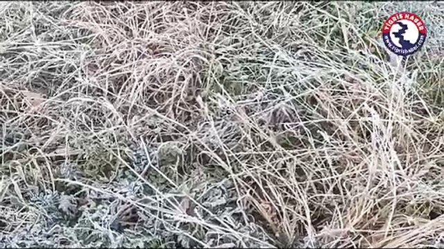 Diyarbakırlılar güne sis ve eksi 3 dereceyle uyandı