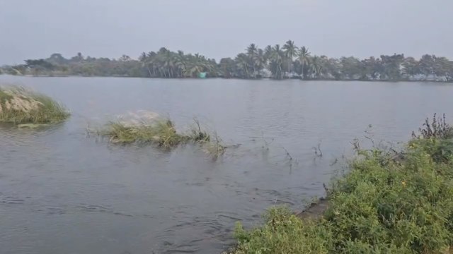 VIDEO: फेंगल तूफान और पूर्वोत्तर मानसून से तमिलनाडु में 6 लाख हेक्टेयर में फसलें क्षतिग्रस्त