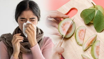 Amrood For Cough: कफ जमा होने पर अमरूद खा सकते है, Benefits & Side Effects In Hindi|Boldsky