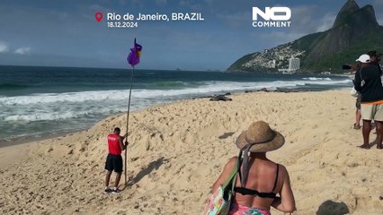 No Comment: la visita insolita di un leone marino sulla spiaggia di Ipanema