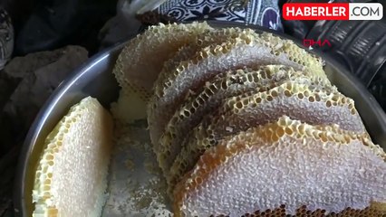 Bakanlık bu kez bal sahtekârlarını ifşa etti