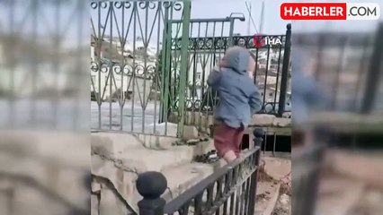 Buzdan Kurtarma: Baba ve Çocukları Sokak Köpeğini Kurtardı