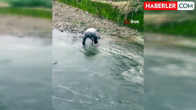 Fırtınadan Kaçan Somonları Eliyle Yakaladı