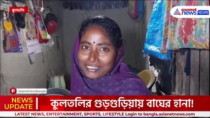 বাপরে! বাইকের সামনে দাঁড়িয়ে সাক্ষাৎ সুন্দরবনের যম! কুলতলিতে বাঘের হানা
