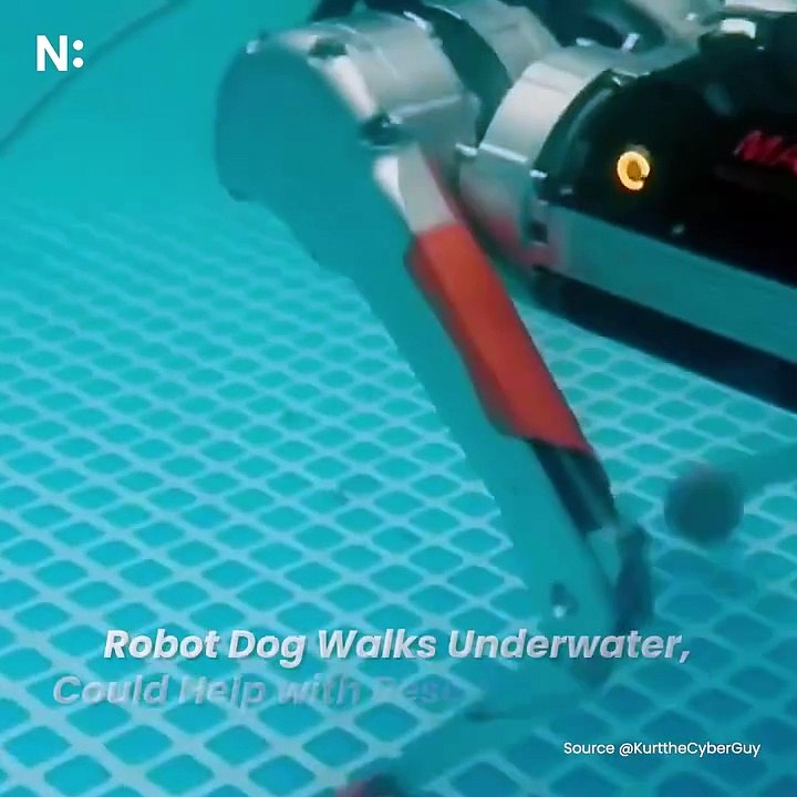 Honey Badger Robot: MAB Robotics’ Amphibious Quadruped Innovation