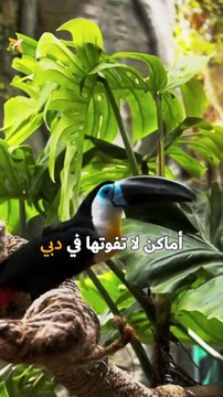 أفضل 25 مكان سياحي في دبي: برج خليفة أعلى مبنى في العالم، سترى دبي من ارتفاع 828 مترً!