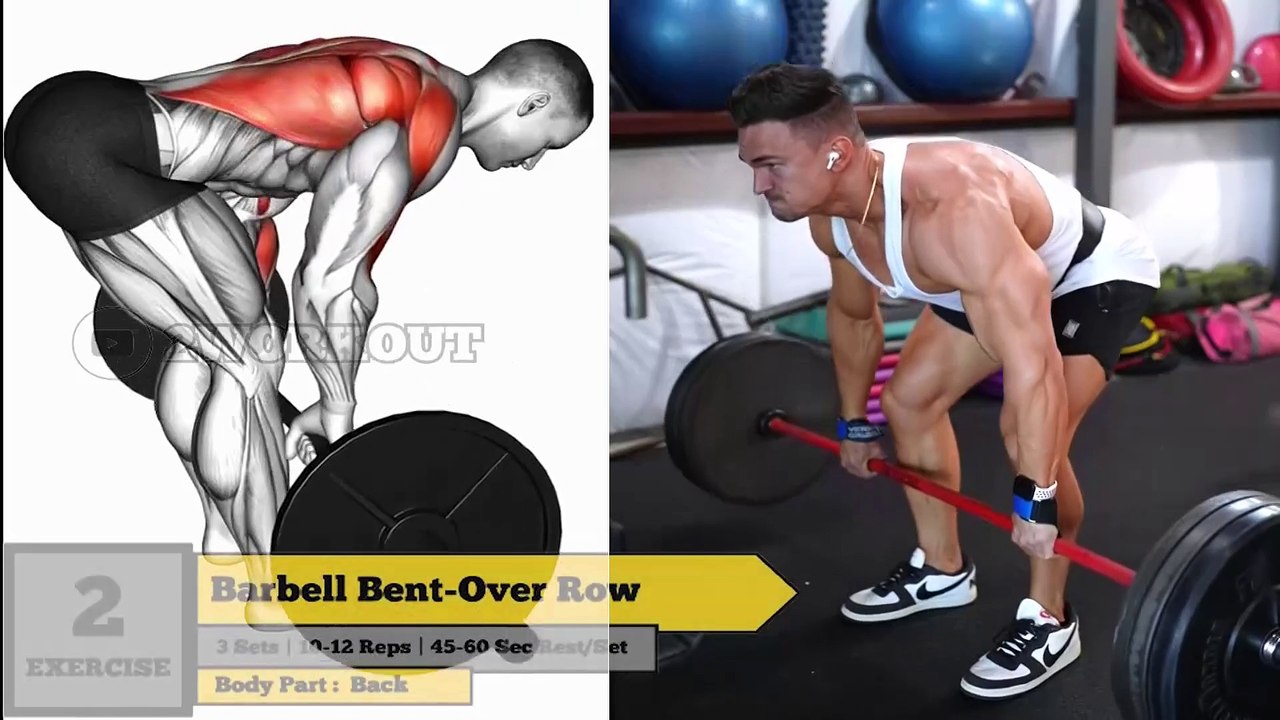 Week 1 Day 1 - Complete Back Workout : Sculpt Your Back! - 2WORKOUT