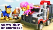 Paw Patrol Skye is out of Control - Why?  Toy Story for Kids