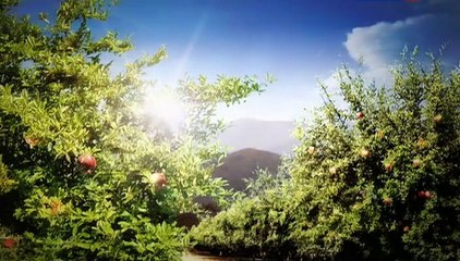 Vkus granata 10 seriya.