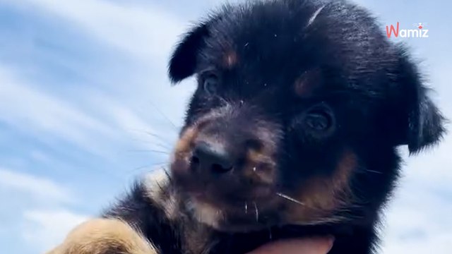 Elle termine son séjour à l'étranger pour ses études et ramène un « colis » imprévu à ses parents (vidéo)