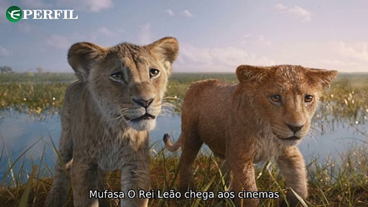 "Descubra as estreias imperdíveis: Mufasa, Comando das Criaturas e Light Shop! Saiba onde assistir e quando."