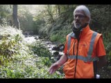 la réserve naturelle des gorges de la Loire - Documentaires - TL7, Télévision loire 7