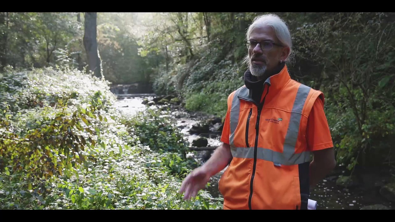 la réserve naturelle des gorges de la Loire