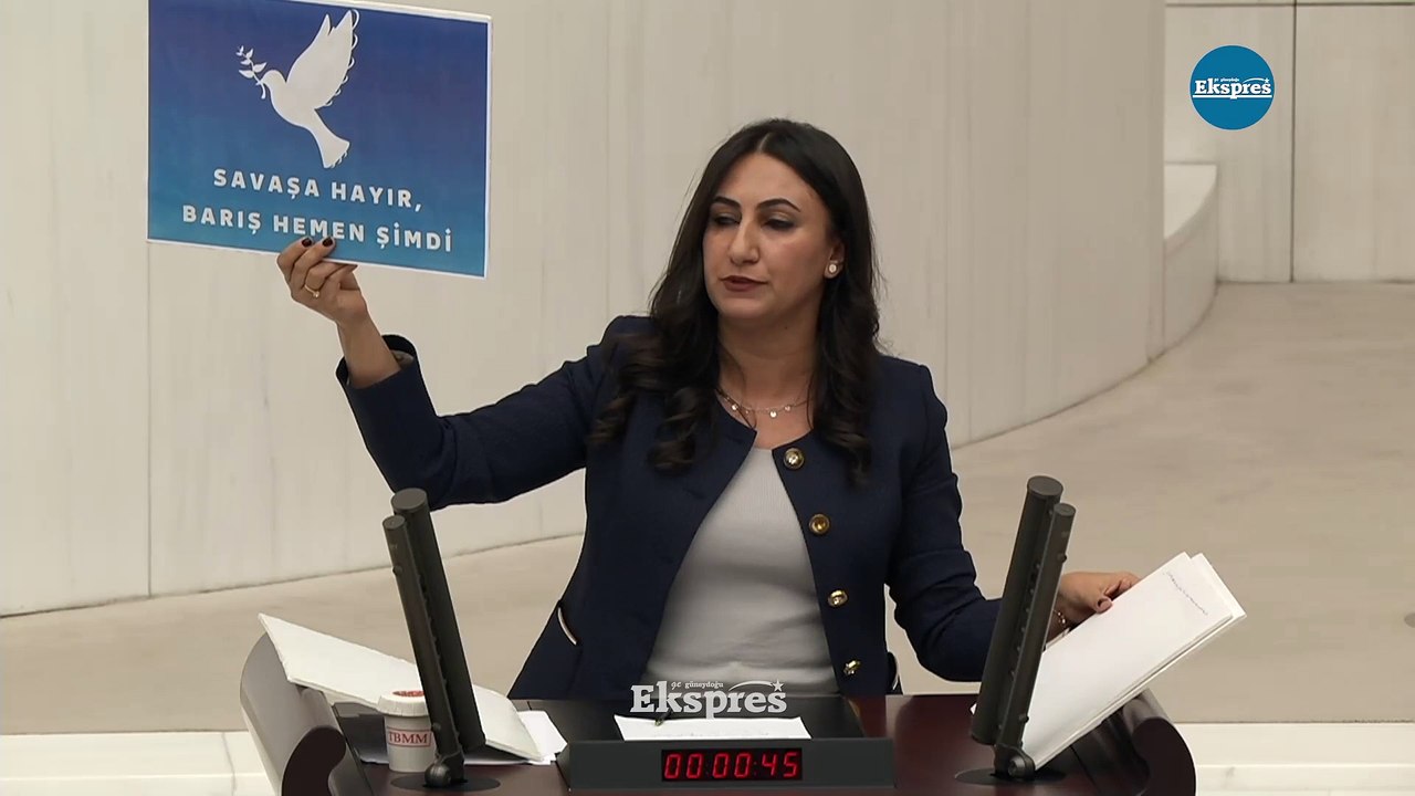 Meclis’te İngilizce serbest, Kürtçe yasak!