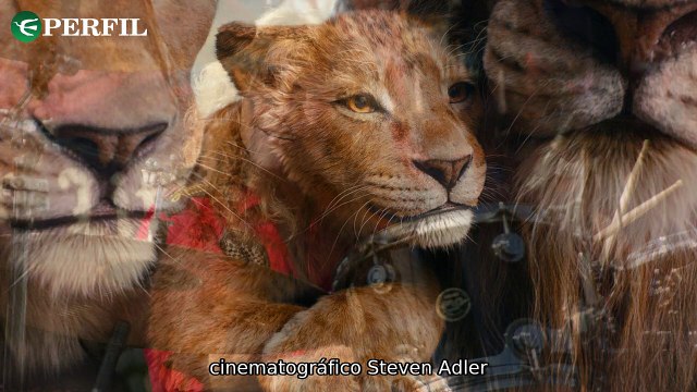 Rei Leão nas telonas, Adler sobre drogas e ódio a Bring Me the Horizon: Notícias quentes do entretenimento!