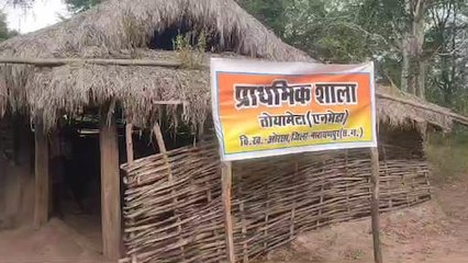 Chhattisgarh News: आजादी के 77 साल बाद गांव में खुला स्कूल, लाल सलाम नहीं अब गिनती सीख रहे बच्चे
