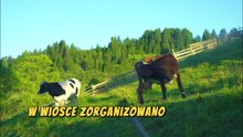 Odrodzenie Marzeń - inspirująca historia Michała z Bieszczad