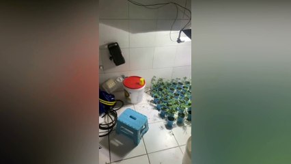 2 PMs, seguranças, estudantes e um agente da SEMOB são alvos de operação contra tráfico na Paraíba