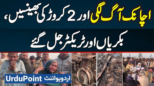 Achanak Aag Lagne Se 2 Crore Ke Bhains, Bakriyan Aur 2 Tractor Jal Gaye - Croron Ka Nuqsan Ho Gaya