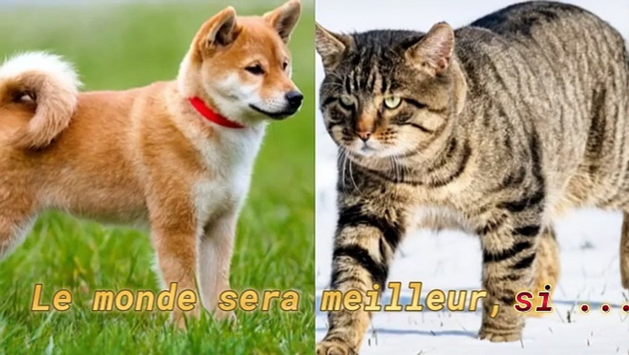 Le monde sera meilleur