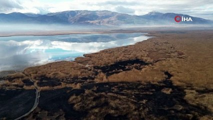 Eber Gölü'nde umut veren yükseliş