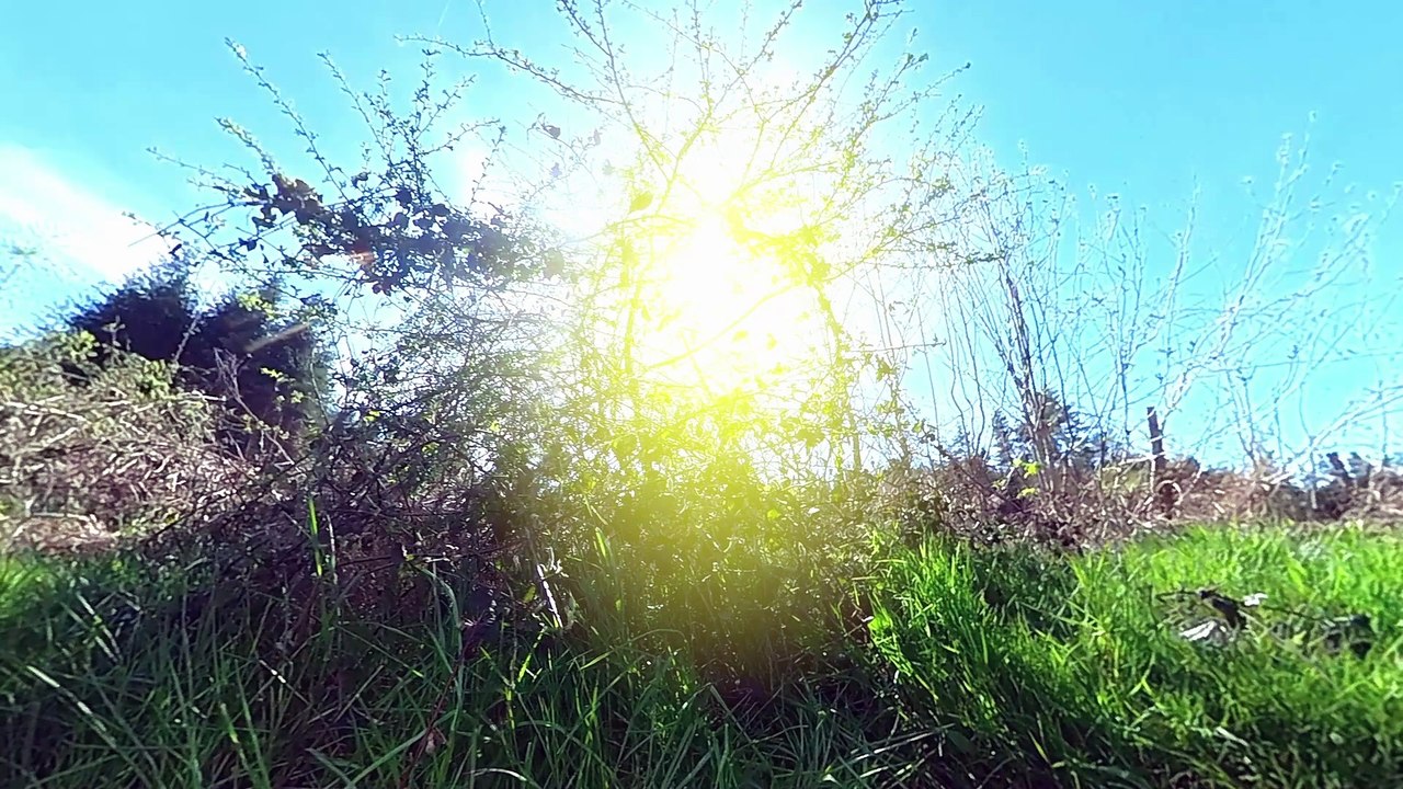 Alliances à PONT-SALOMON