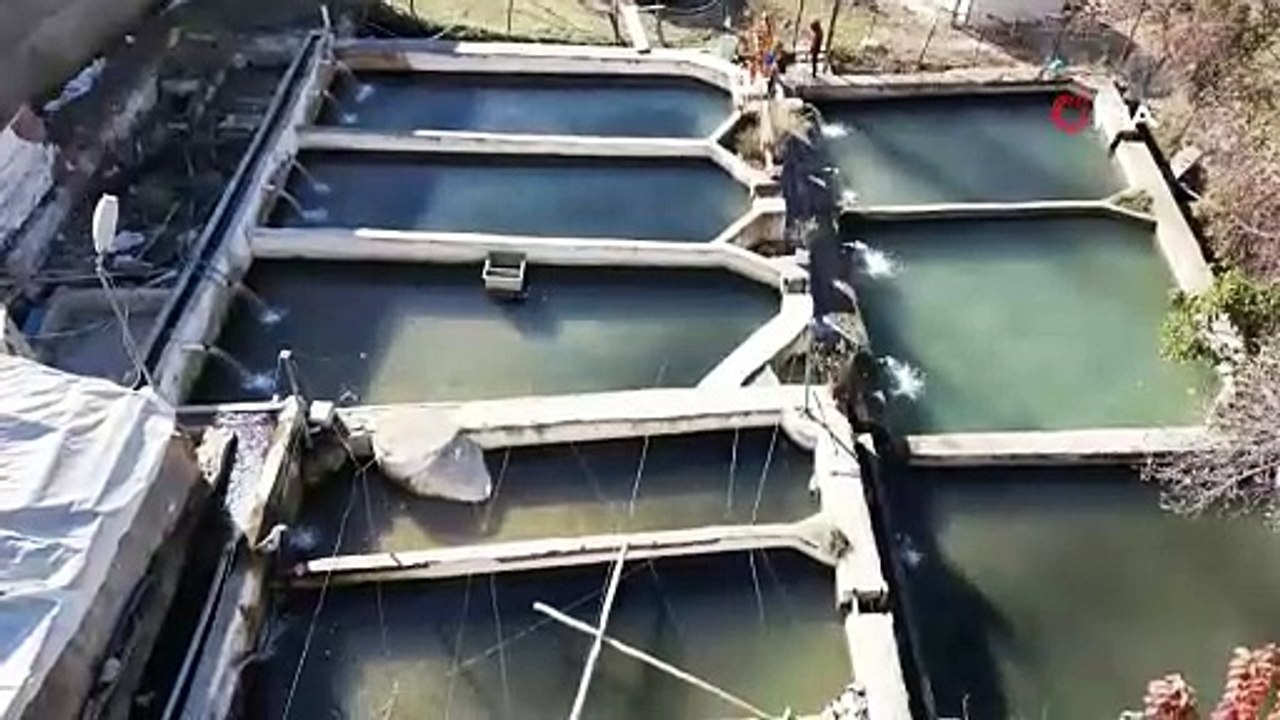 Dört bir yana gönderiliyor! Denizi olmayan şehirde tonlarca balık yetiştiriliyor