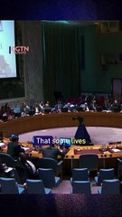 ‘Your silence is deafening, your inaction suffocating’: Brother of Israeli hostage tells UNSC