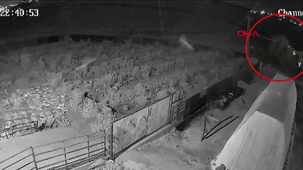 Narin cinayetinde sıcak gelişme! Salim Güran'ın yeni videosu ortaya çıktı